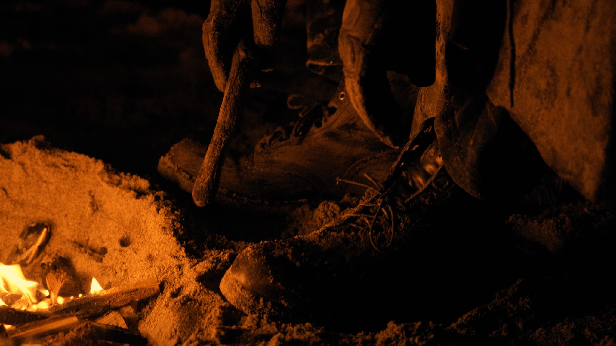 Close-up of Nomad